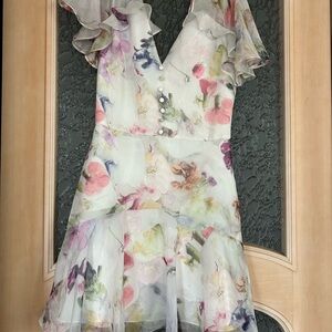 Ted Baker Dress (S)